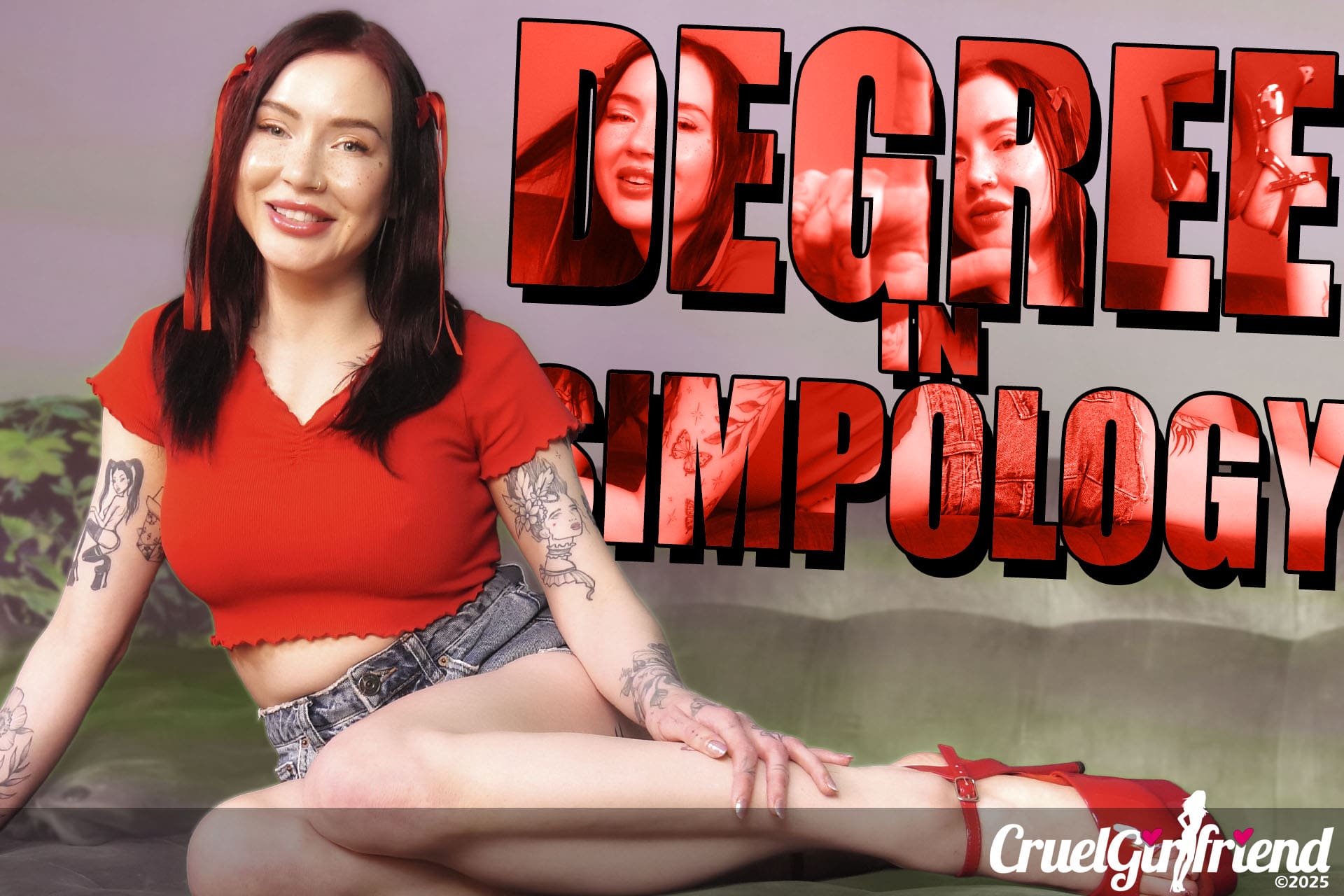 Degree In Simpology